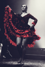Flamenco_Nacht_Palma_Flamenco_Webseite