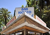 Bar_Alaska