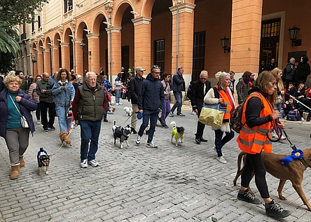 Tiersegnung_Palma_2024_von_Lena_1