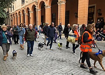 Tiersegnung_Palma_2024_von_Lena_1