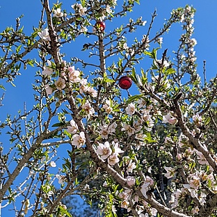 poiImage_8837_1772172452