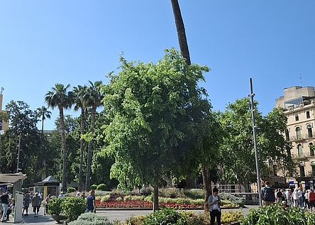 Plaza_Espana_intern_Dominik