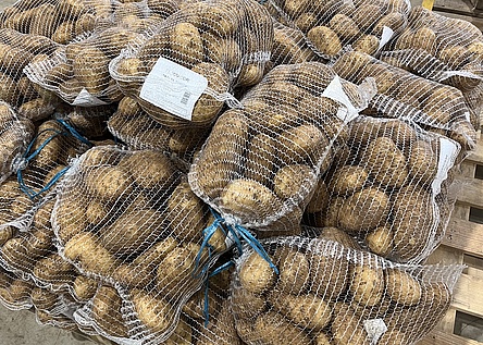 Kartoffeln_Saecke_Terracor_intern_Dominik