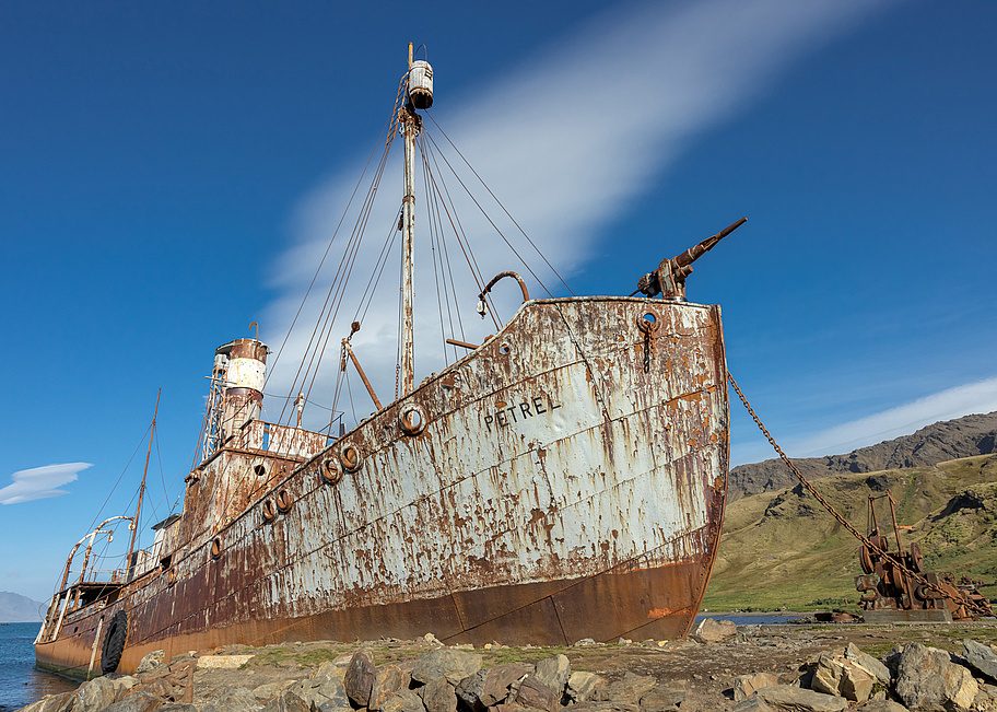 SH_Vega__Grytviken___South_Georgia___Cape_to_Cape___14_03_2023___27