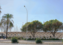 El_pesquero_palma_jordi_herrero_arquitectos