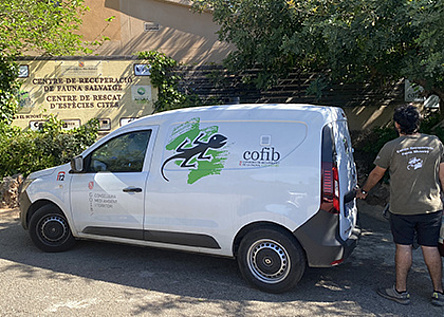 COFIBAuto_Homepage_recuperacionfaunabaleares