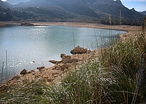 Bergsee__Gorg_Blau__Duerre__Tramuntana