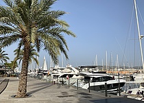 Hafen_Motorboot_16_9_intern