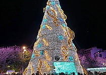 Weihnachten_Weihnachtsbaum_Palma