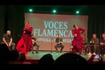 flamenco
