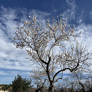 poiImage_611_1612585649