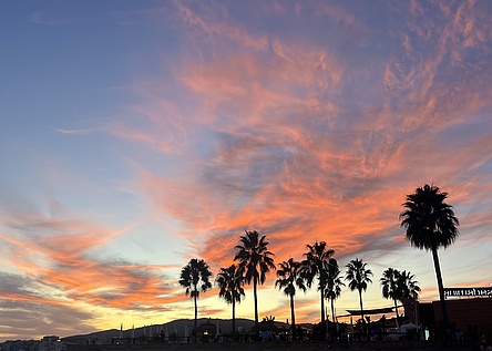 AnimaBeach_Sonnenuntergang_Intern