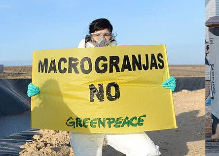 MacrogranjasProtest_Facebook_GreenpeaceEspana