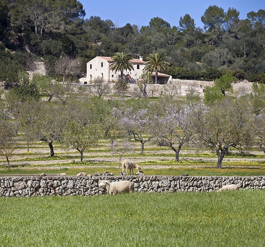 finca_bei_sineu