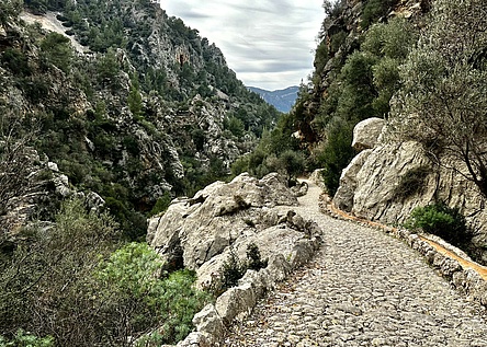 Wanderung_Barranc_de_Biniaraix__LB_