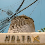 Bild_Moltak