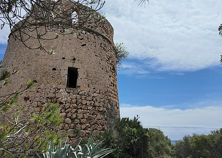 Finca_torrenova_ajuntament_calvia