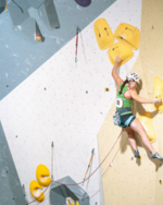 indoorwall_instagram_indoorwallgym