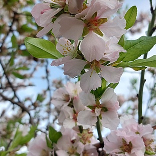 poiImage_8841_1772224979