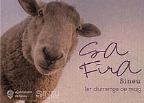Fira_Sineu_Ajuntament