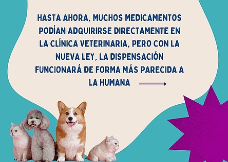 NeuesGesetzTierarztpraxen_Facebook_VeterinariaConsell