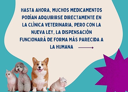NeuesGesetzTierarztpraxen_Facebook_VeterinariaConsell