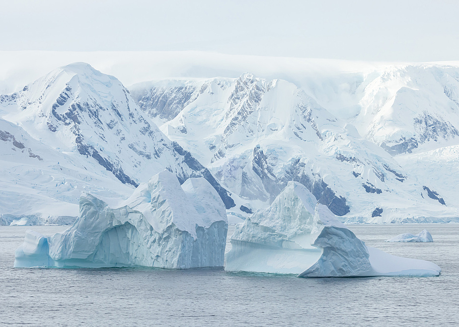 SH_Vega___Portal_Point___Antarctic_Peninsula___Cape_to_Cape___08_03_2023___24