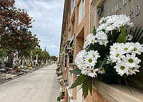 AllerheiligenFriedhofBlumen_Intern_Maresa