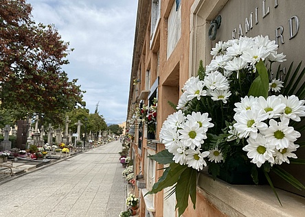 AllerheiligenFriedhofBlumen_Intern_Maresa