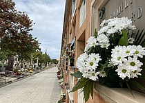 AllerheiligenFriedhofBlumen_Intern_Maresa