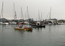 MuellKuestevonPollenca_Caib