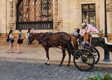 Touristen_Kutsche_vor_Rathaus_Ajuntament