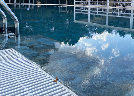 PoolWasser_ConselldeMallorca