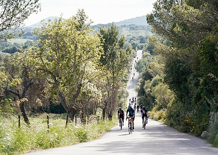 Mallorca_312_Radfahrer_Gebirge