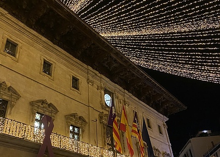 Weihnachtsbeleuchtung__10_