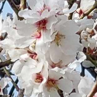 poiImage_3244_1738157065