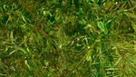 Ausstellung_Pollenca