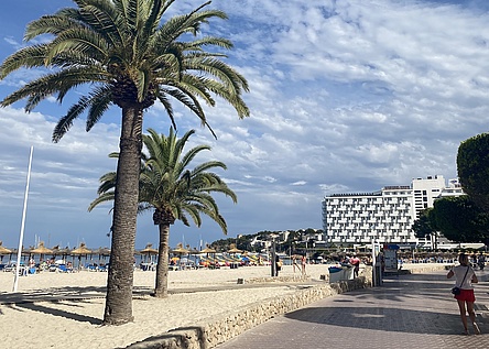 StrandPalme_InternMaresa