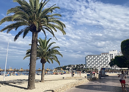 StrandPalme_InternMaresa