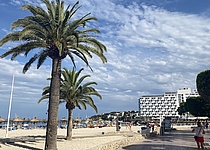 StrandPalme_InternMaresa