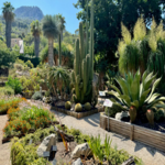 Bild_BotanischerGartenSoller_mallorca_today