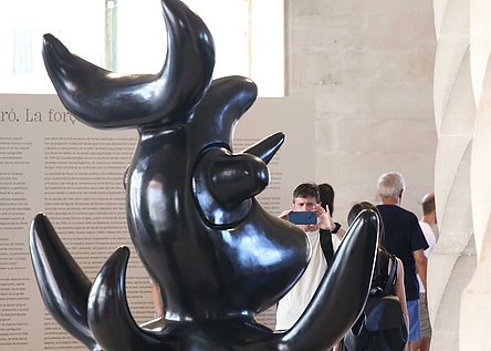 MondvogelOiseau_LunaireMiroKunstwerkEpstein_Caib