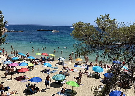 StrandPortalsNous_Intern_Maresa