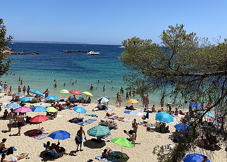 StrandPortalsNous_Intern_Maresa