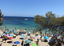 StrandPortalsNous_Intern_Maresa