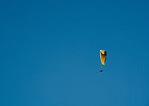pexels_triemli_28500877