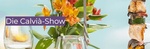 Die_Calvia_Show_NEW