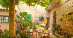 olivenoel_soller