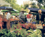 Nachtmarkt_Alcudia_Ajuntament