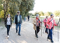 ViuenGranSeniorenProgramm2026Wandern_ConselldeMallorca